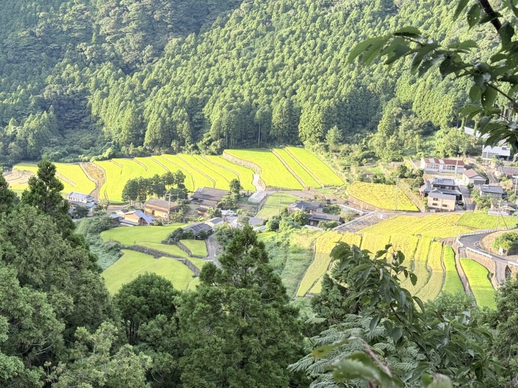 雲仙の段々に続く棚田の俯瞰