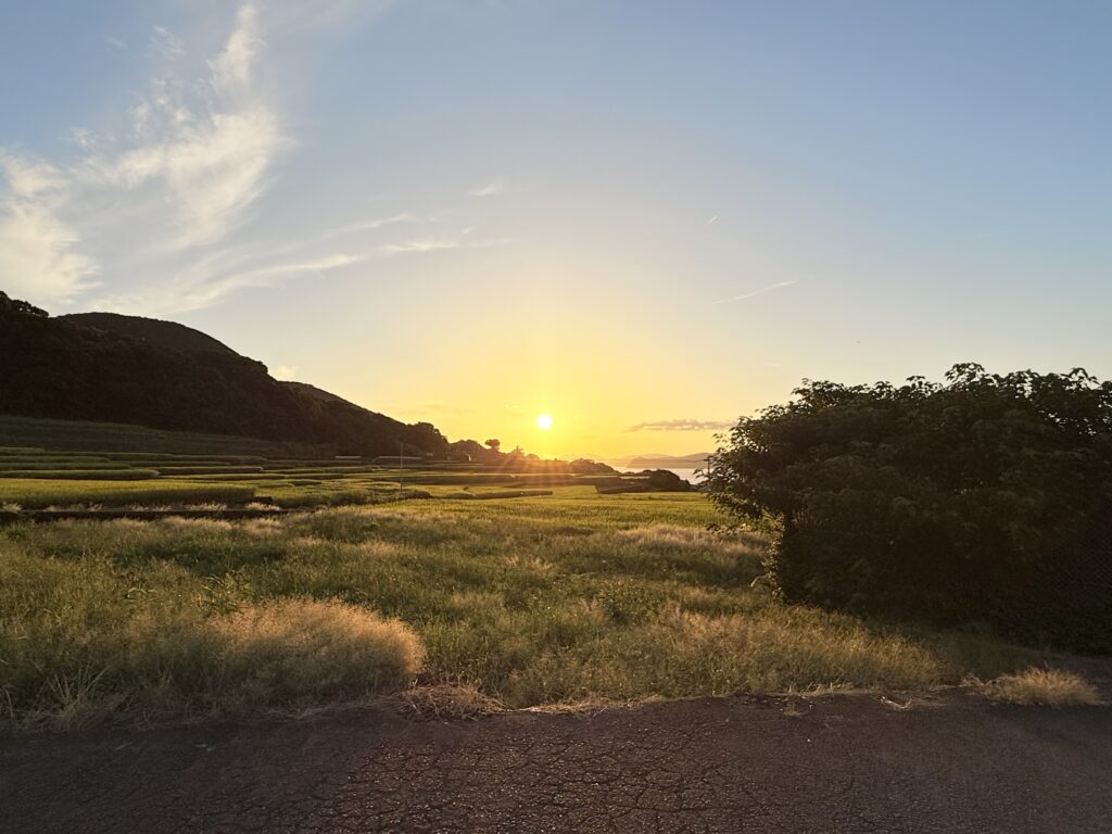 雲仙橘湾の秋の田圃景観その２